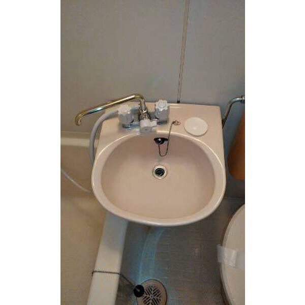 ピュアハウス藤棚三番館0201号室 洗面