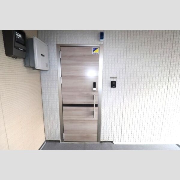 グラナーデ江戸川B202号室 玄関ドア
