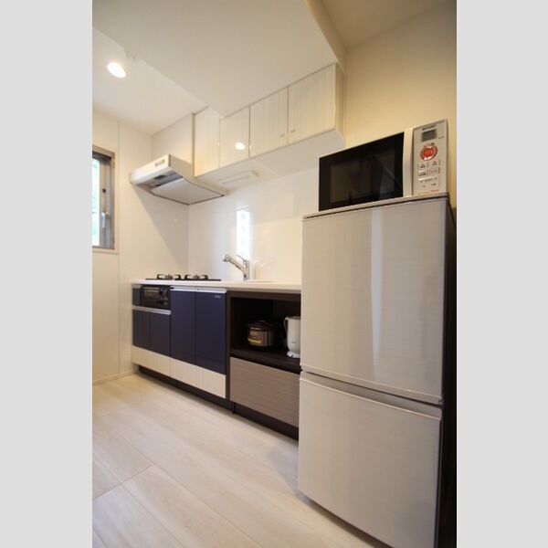 ロイジェントパークス四ツ谷301号室 キッチン