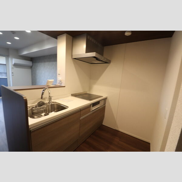 D-sereno緑町102号室 システムキッチン