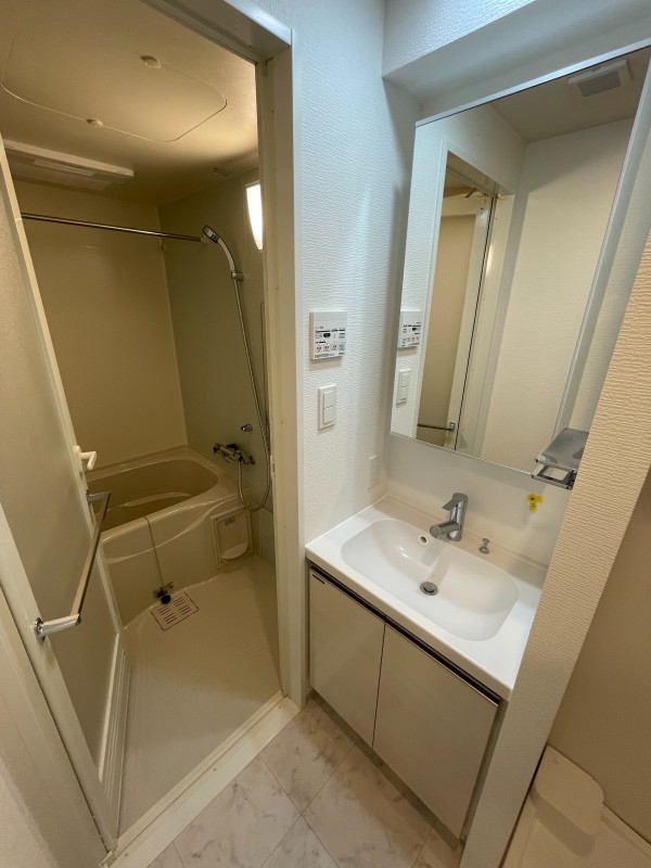 クレイシアIDZ蒲田12階 洗面