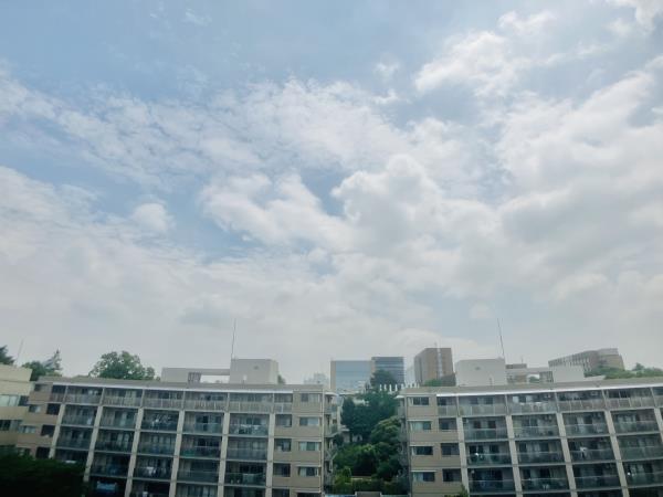 グリーンヒルズ目白6階 部屋その他