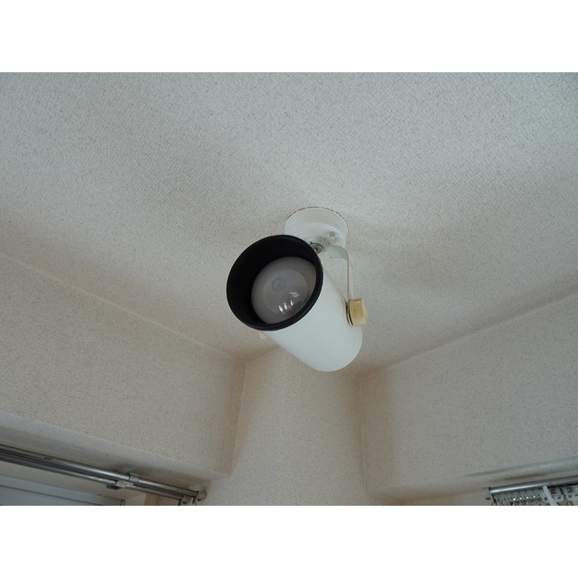 ドミール上池台0203号室 洋室ライト