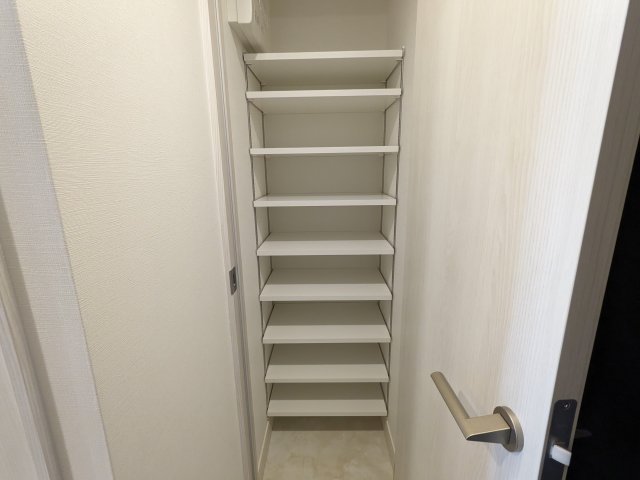 ハーモニーレジデンス蒲田アートヴィラ0311号室 収納