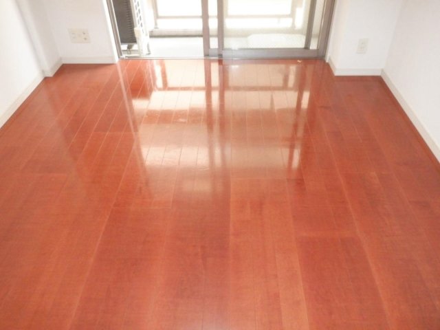 ラグジュアリーアパートメントデュオ神楽坂4階 部屋その他