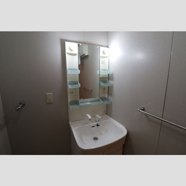 ロイヤルパレス　B102号室 洗髪洗面化粧台
