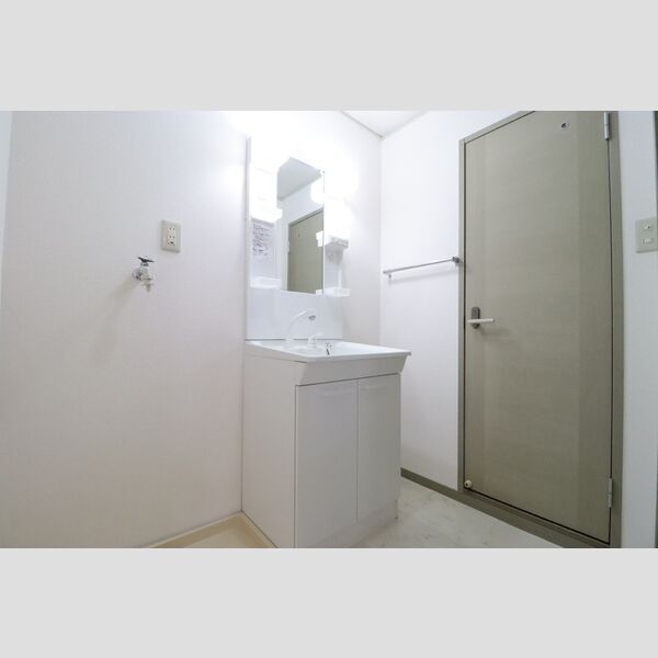 ラ・フランセ　弐番館203号室 洗面所