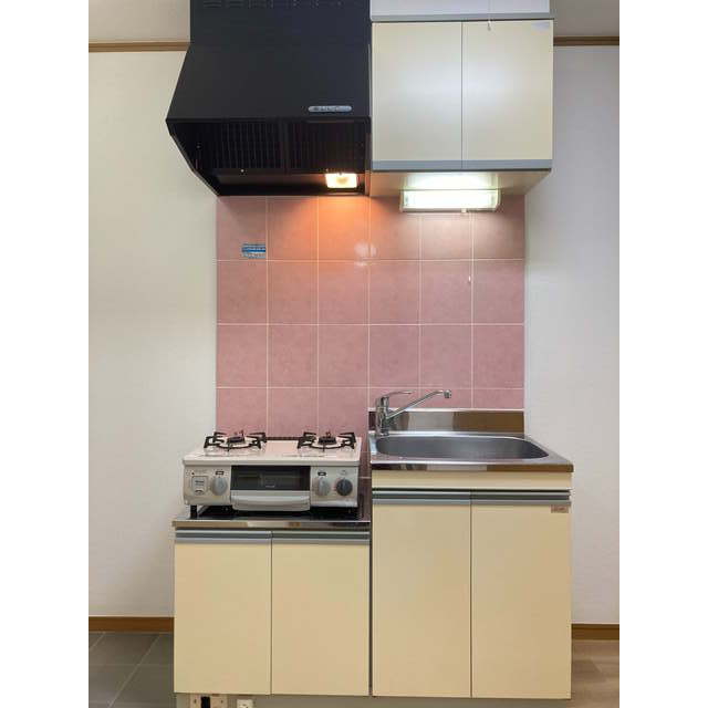 ハイム　カープ105号室 流し台