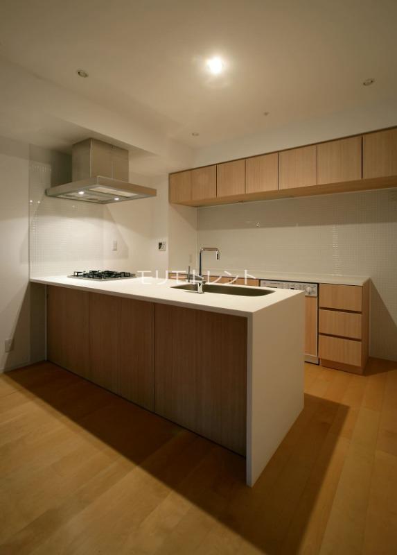 カスタリア初台Ⅱ5階 室内参考写真（Yタイプ）