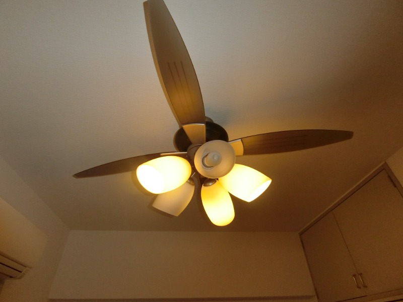 アンサンブル大井7階 同建物別部屋の参考画像