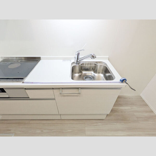 D-ROOM PREMIUM 多磨霊園駅101号室 シンク