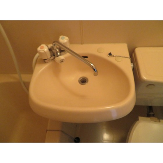 エバーグレース西府0207号室 洗面台