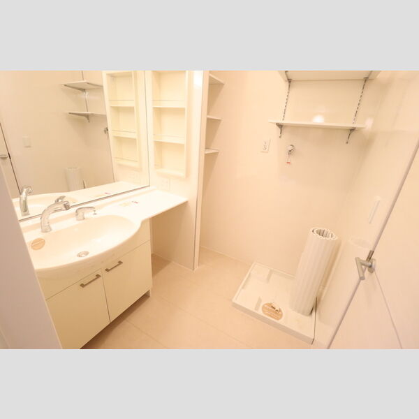 八千代の杜　ノースヒルL105号室 洗面所