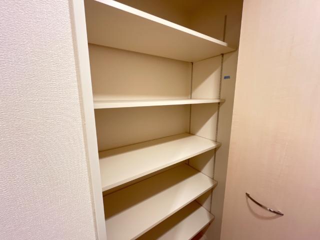 エクセレントタワー 収納