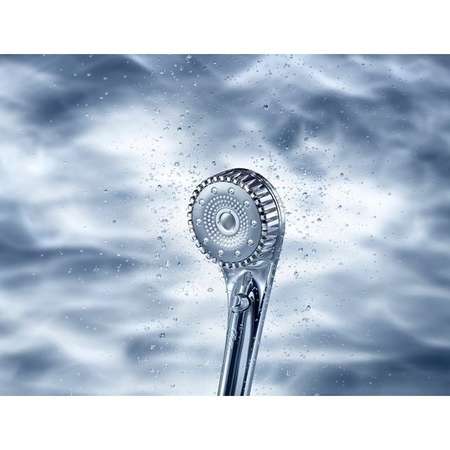 プレール・ドゥーク赤塚102号室 某シャワーヘッド