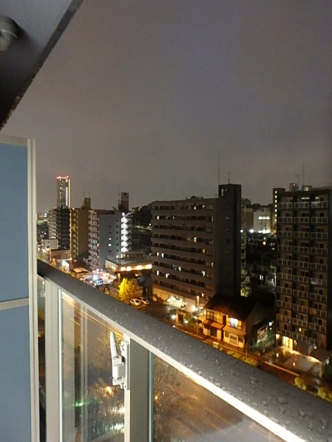 グランド・ガーラ横浜新子安10階 展望