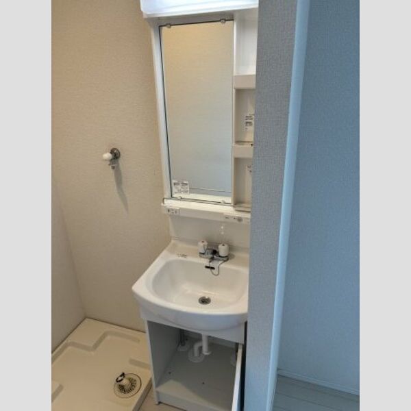 ソレイユ日進201号室 洗面所