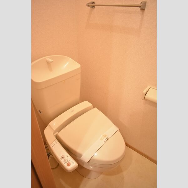 エバーグリーンガーデン　C202号室 同建物別部屋の参考画像