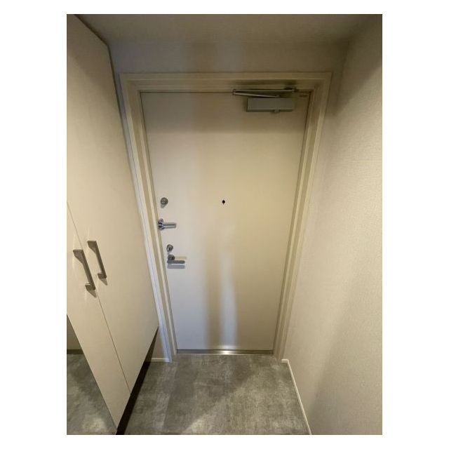 ドゥーエ亀戸Ⅱ0904号室 玄関