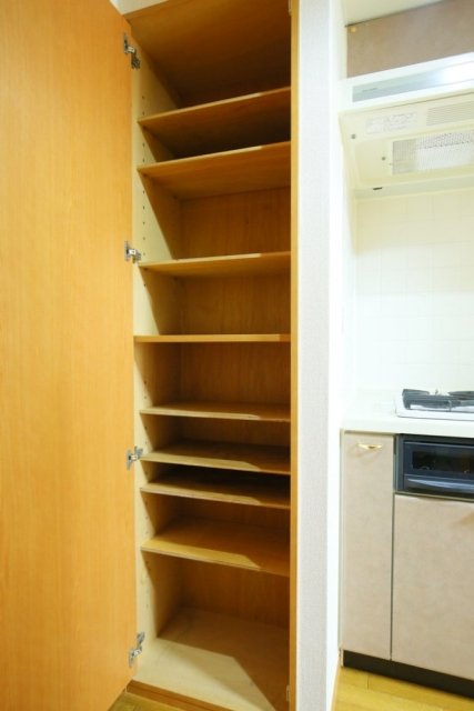 菱和パレス渋谷西壱番館 靴入