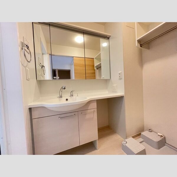 メゾンサニーサイド201号室 洗面