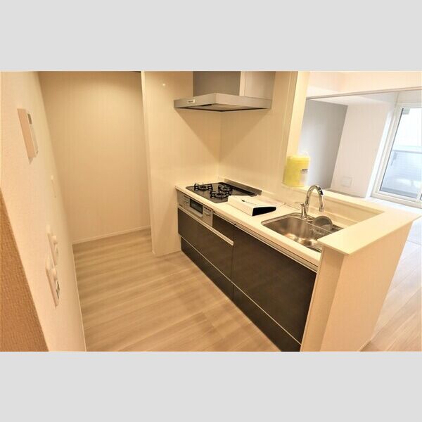 セレスティア池袋立教通り202号室 キッチン