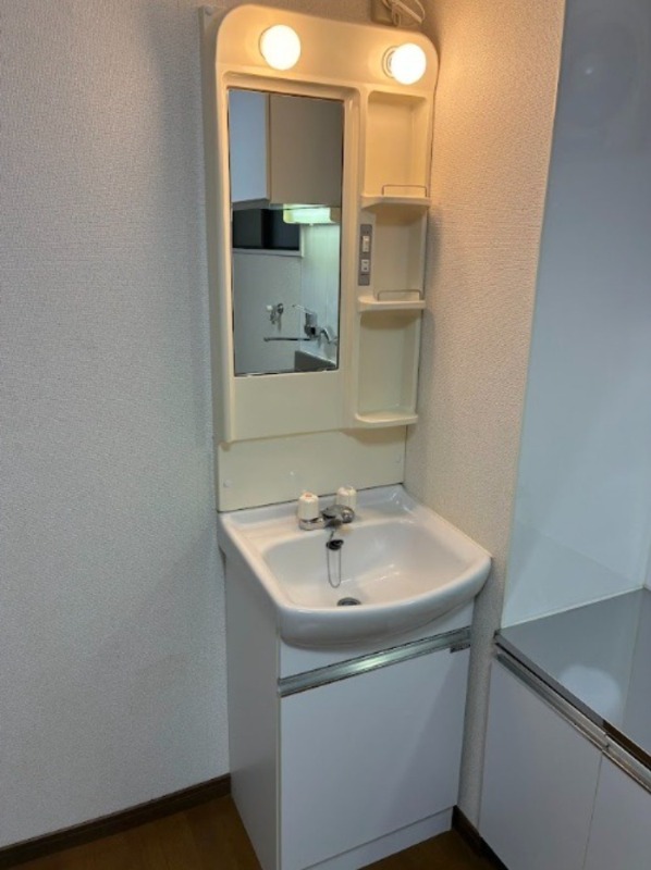 びるいしだいら 洗面