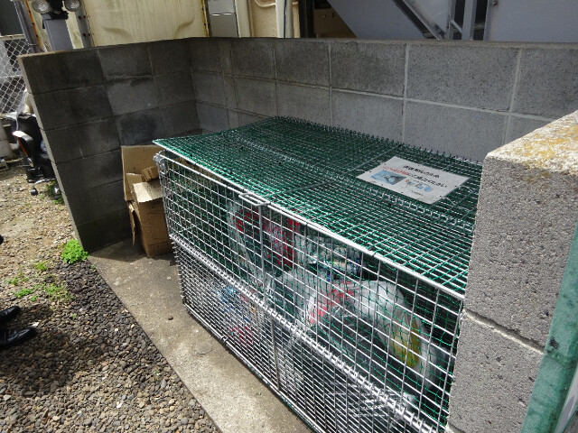 葵マンション(E-173)3階 部屋その他