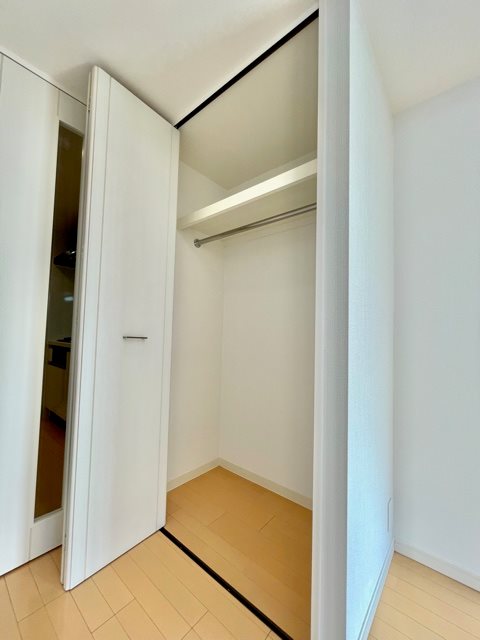 レジディア武蔵小杉4階 収納