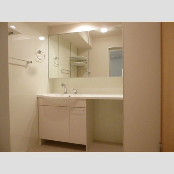 AlbaGrande(アルバグランデ)305号室 洗髪洗面化粧台
