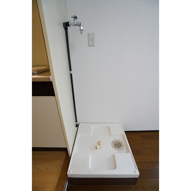 ダイヤモンドレジデンス南大塚0201号室 洗濯機置き場