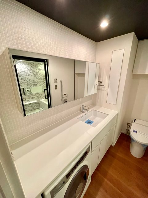 レジディア芝浦ＫＡＩＧＡＮ4階 洗面