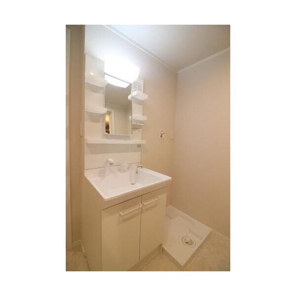 つげたそう4号室 洗面