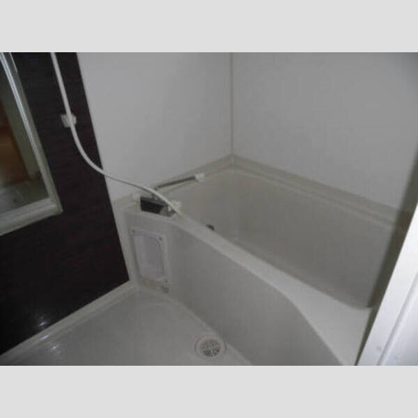 パークハイツ201号室 パークハイツ201浴室