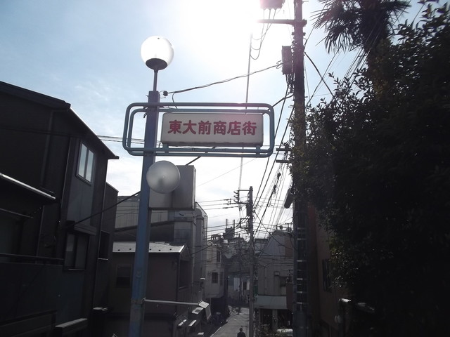 ソレーユ駒場0202号室 【その他】東大前商店街まで364ｍ