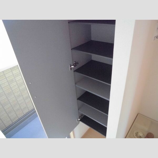 エムグランデ　Ⅰ205号室 シューズボックス