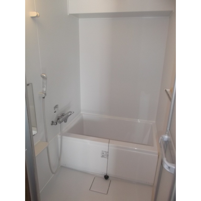 リアライズ伊勢原0802号室 内観