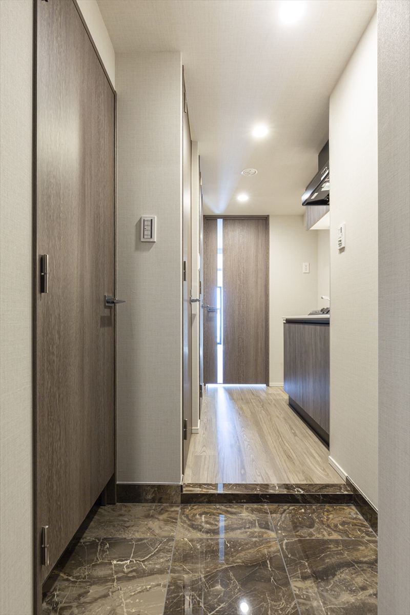 DIPS野方501号室 玄関