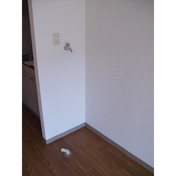 casa de rosa（旧レジデンス田中）0202号室 室内洗濯機置場