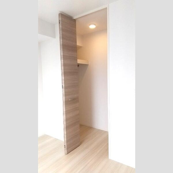 ハイクレア篠崎301号室 ウォークインクローゼット
