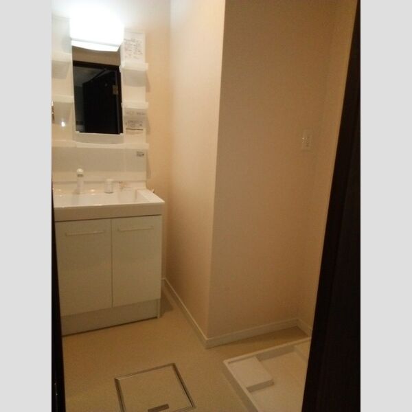 アエル新所沢203号室 洗面室