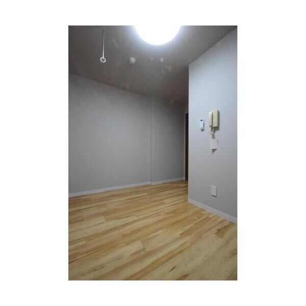 ダイヤモンドレジデンス新宿212号室 リビング