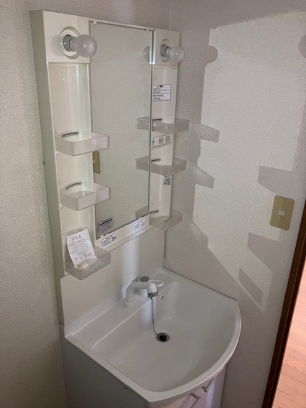 アパートメントハウスイマイ 洗面