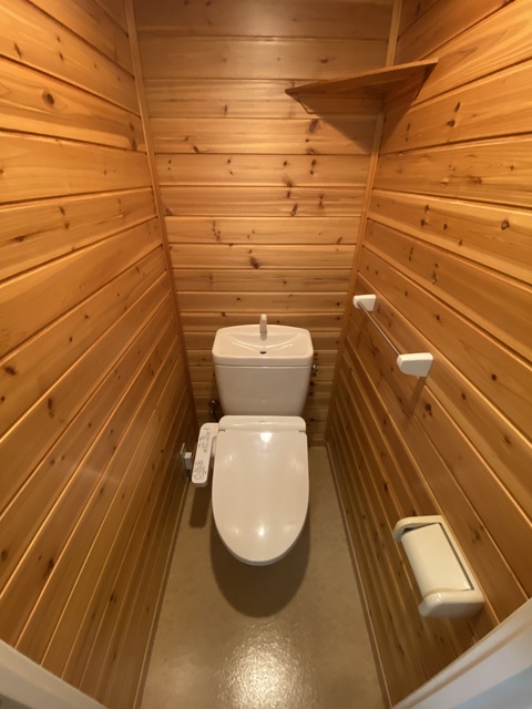 Ｌｕｉｒｅ0303号室 壁がオシャレトイレです！