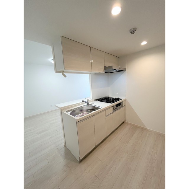 SOLASIA residence世田谷代田0101号室 キッチン