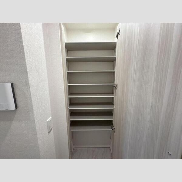 セレスティア六町Ⅱ201号室 シューズボックス