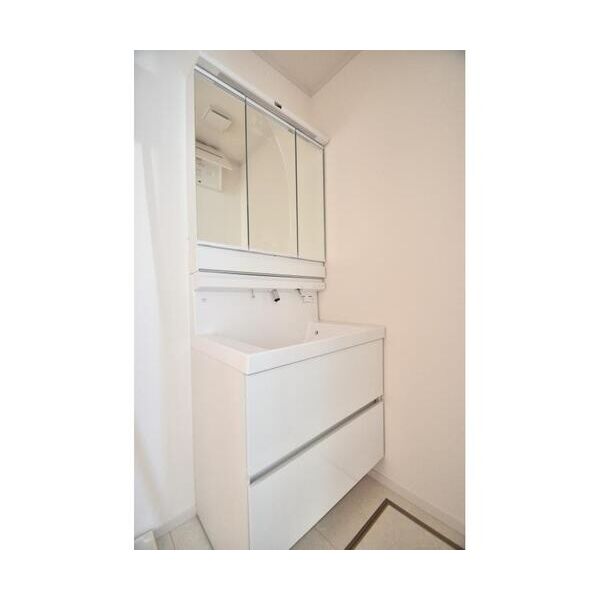 フォレストメゾン聖蹟B102号室 洗面