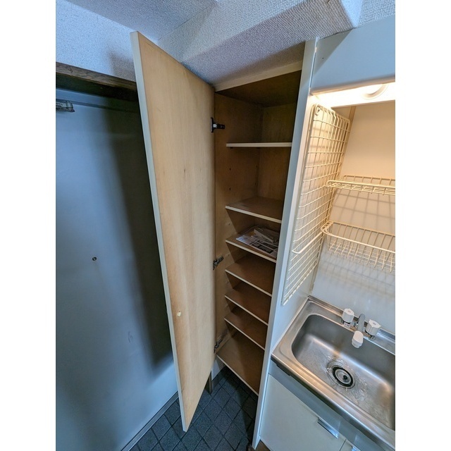 ダイホープラザ橋本Ⅲ0401号室 靴箱