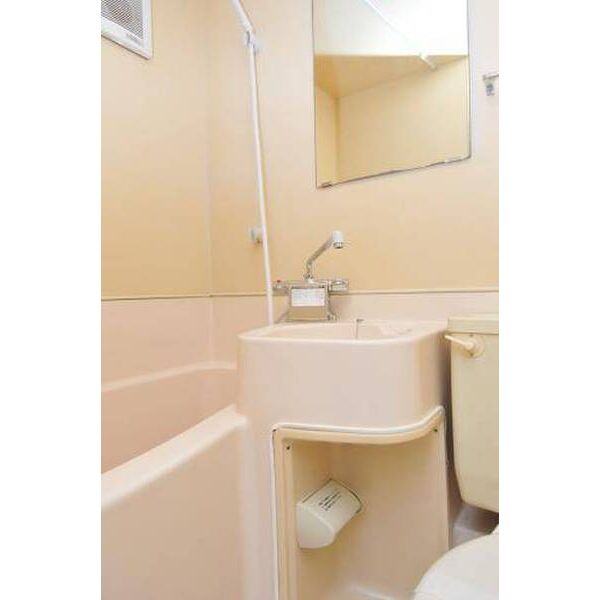 メゾン・ド・原宿0101号室 洗面