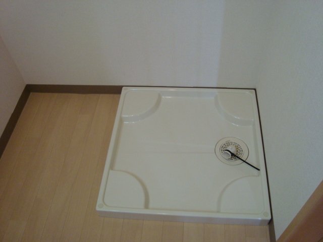 エクセレント南柏203号室 室内洗濯機置場